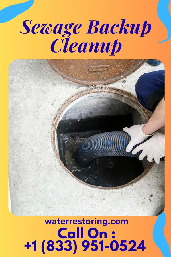 Sewage Backup Cleanup in Philip, SD