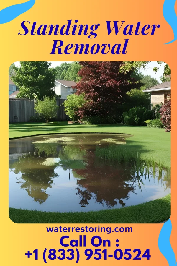 Standing Water Removal in Philip, SD